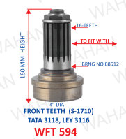FT TEETH 16-TH LEY.31.16